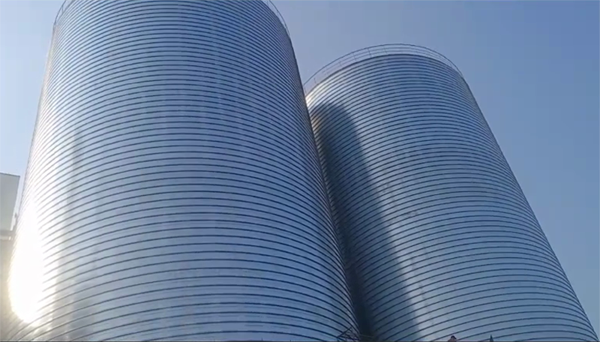 仁化2座混凝土高架卷板仓